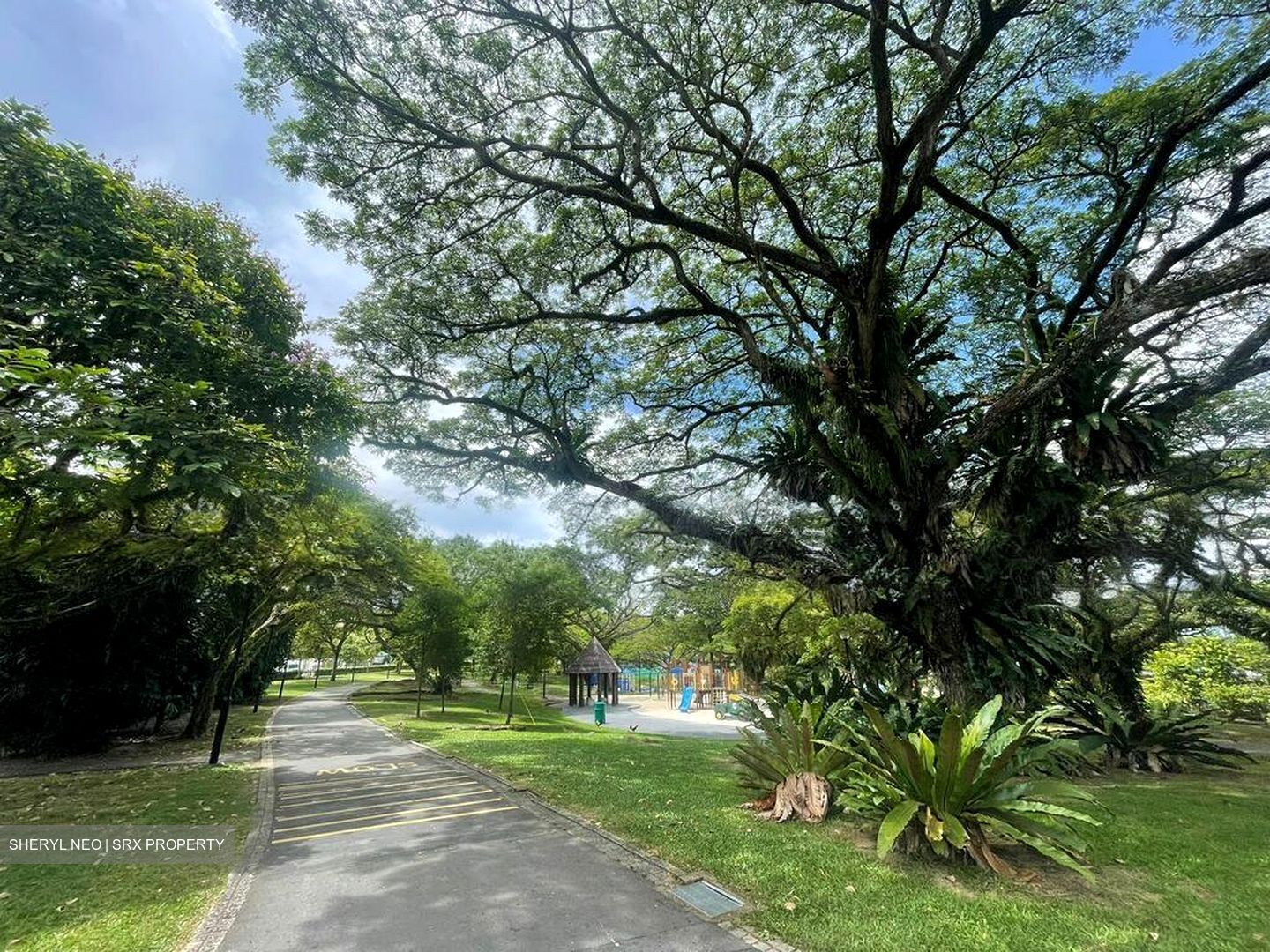 Pasir Ris Beach Park (D18), Semi-Detached #496784351